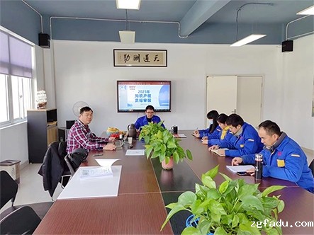 徳斯威DSV顺利通过2023年度知识产权贯标监督审核