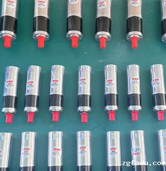 雷竞技newbee官网赞助商批量化减速马达用于炸药线