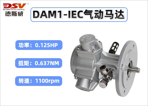 DAM1-IEC活塞式气动马达