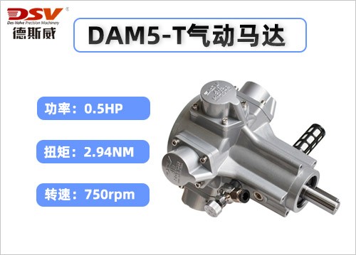 DAM5-T活塞式气动马达(基本款)