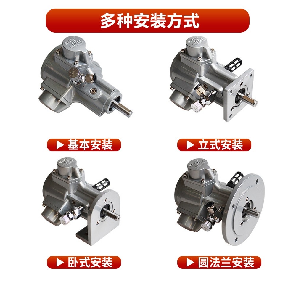 DAM6活塞防爆气动马达