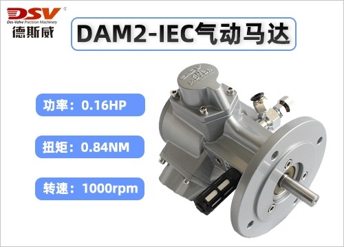 DAM2-IEC活塞式气动马达(圆法兰)