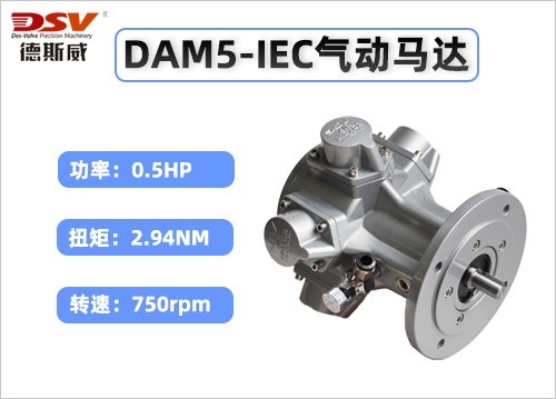 DAM5-IEC活塞式气动马达(圆法兰)