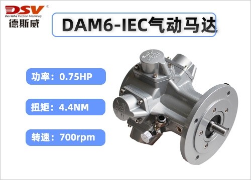 DAM6-IEC活塞气动马达(圆法兰)