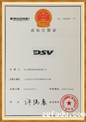 雷竞技newbee官网赞助商DSV品牌证书